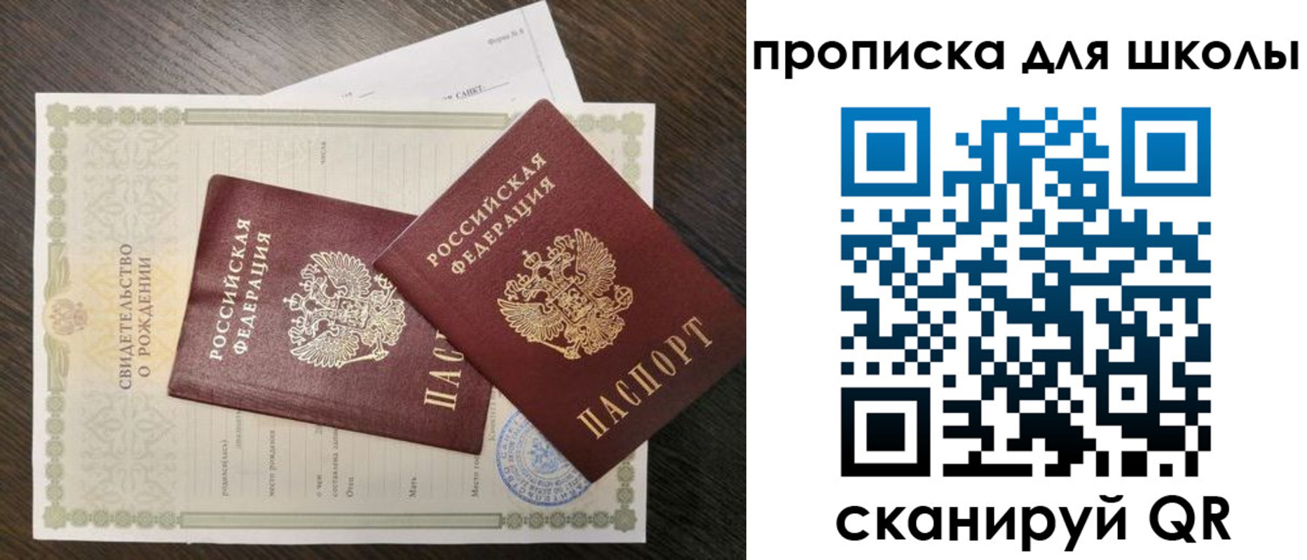 прописка гарантия в Вольске
